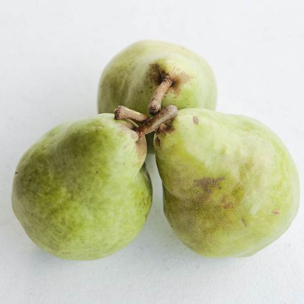 Pears, Bartlett