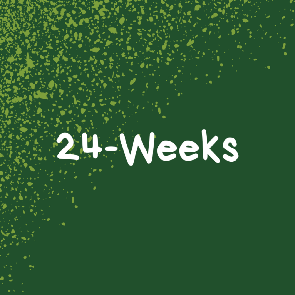 24-Weeks - Tuesday Pick Up