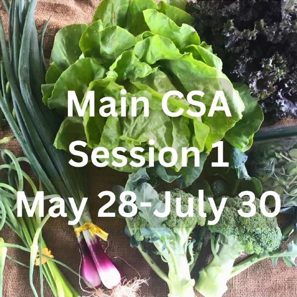 Main Season, session 1