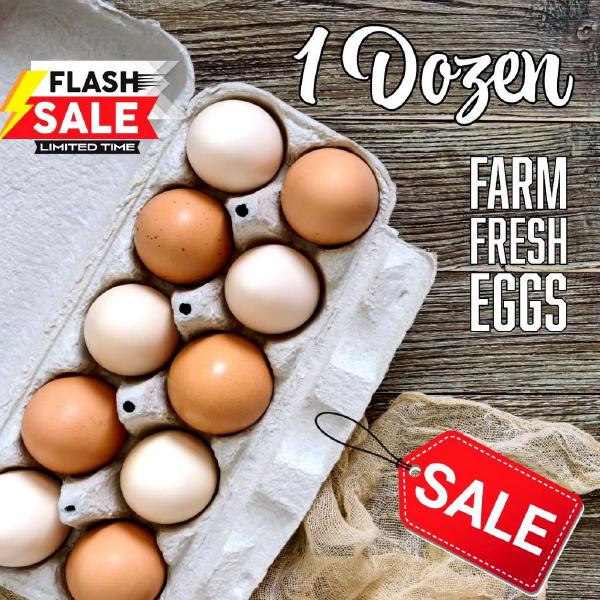1 Dozen Farm Fresh Eggs “Egg CA Prop 12 Compliant”