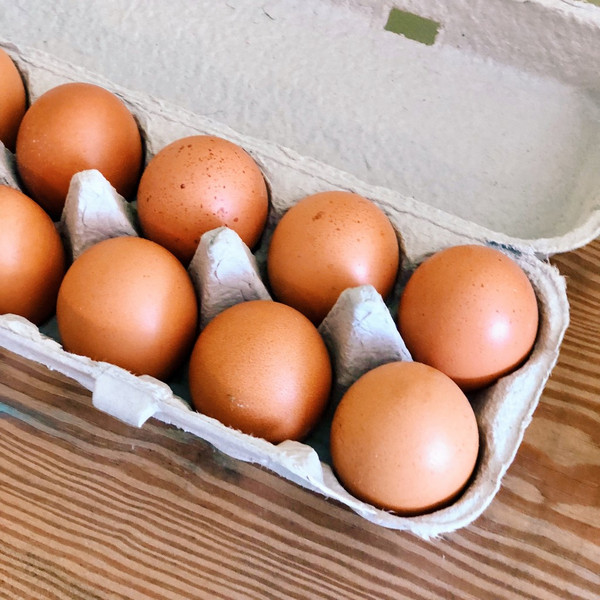 Free Range Eggs