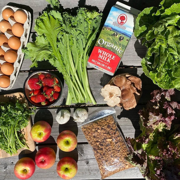 Grocery, Snack, Fruit, & Office Boxes