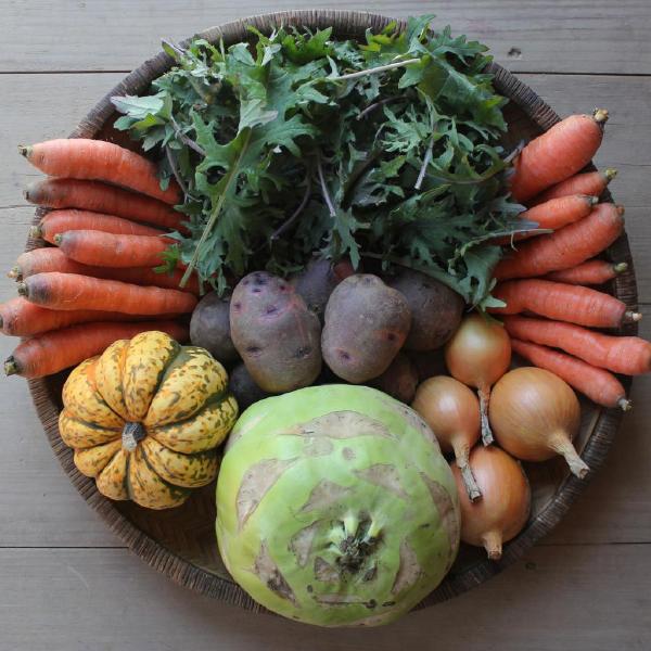 2025-26 Winter Share