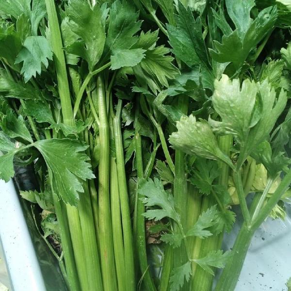 Celery