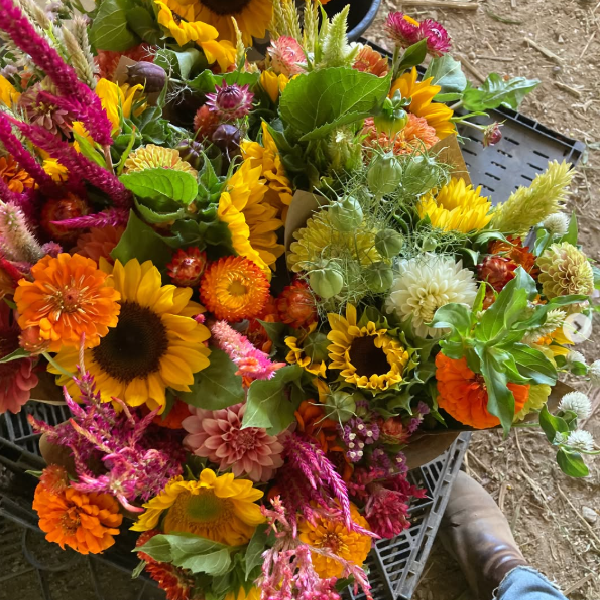 Fall Flower Share 2026 (Tahoe/Truckee/Reno/Carson City)