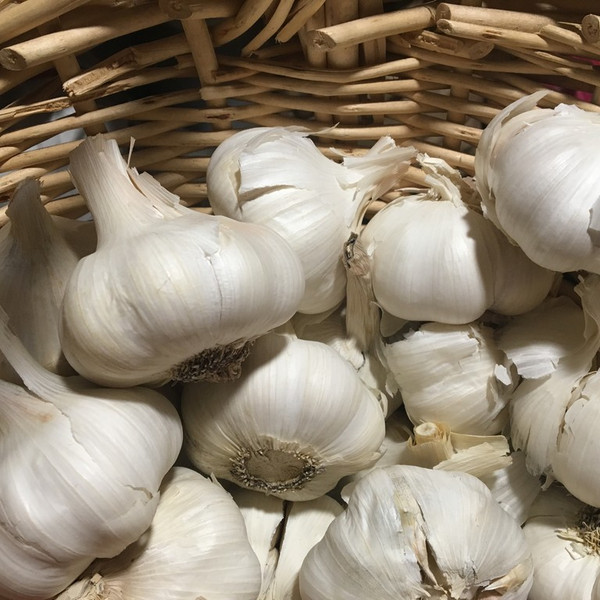 Monthly garlic subscription