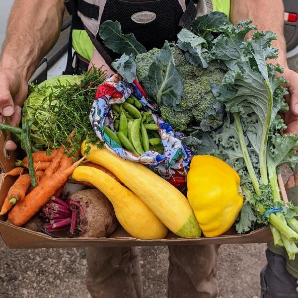2026 Spring Vegetable Share 9wk June-Aug $345