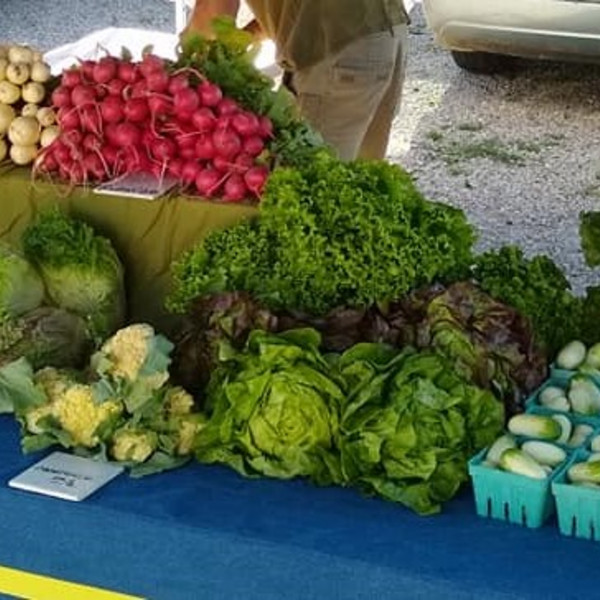 Summer Season Veggie Box