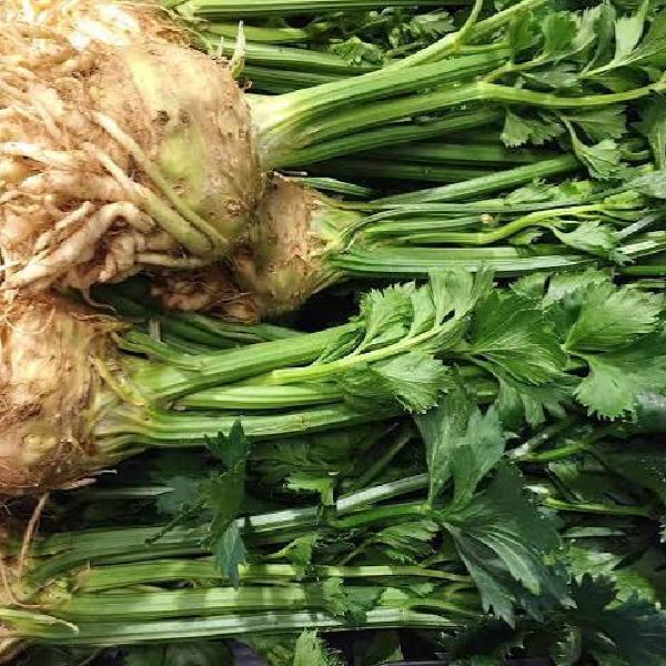 Celeriac/ Celery Root