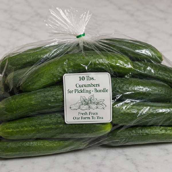 Cucumbers for Pickling - Bundle