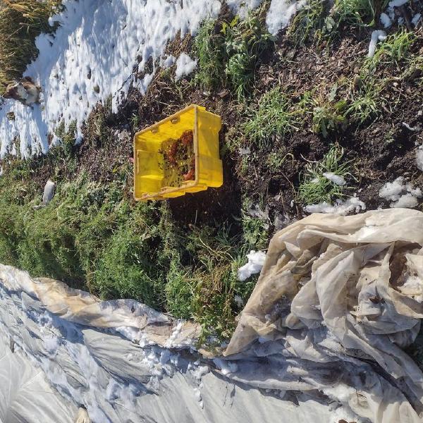 Winter 2026 Farm Share