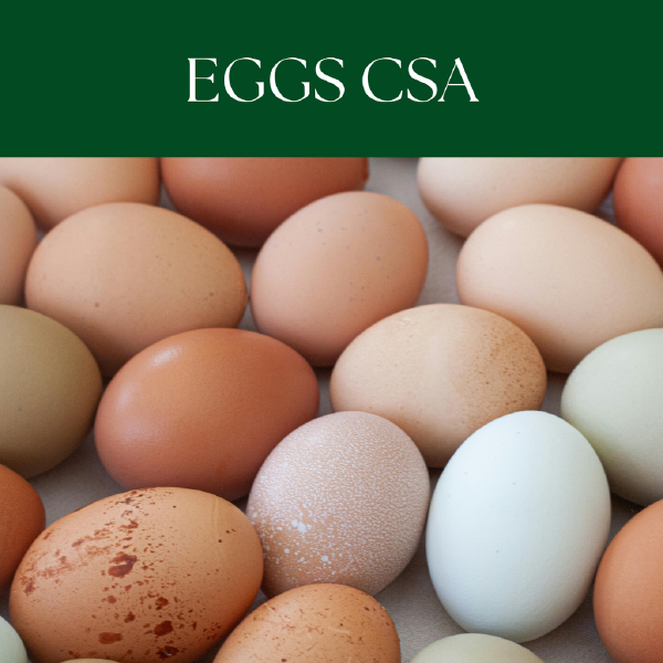 Egg CSA