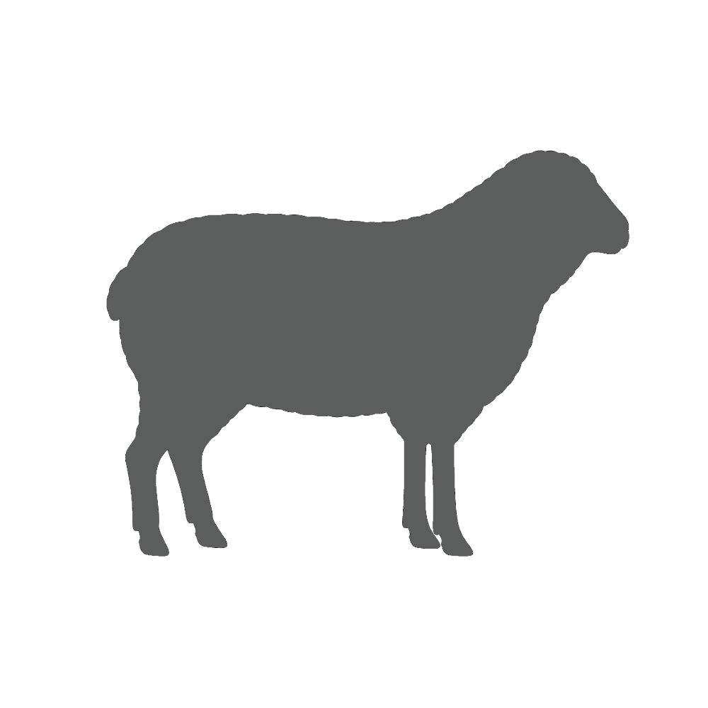 Ground Lamb