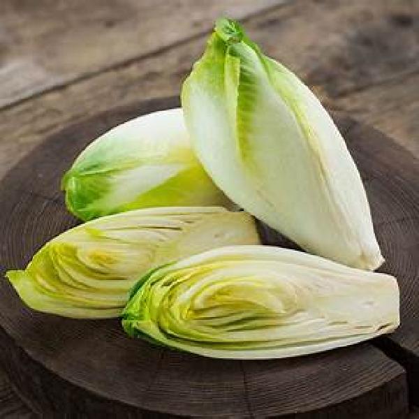Endive