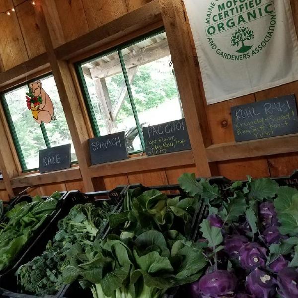 Summer Share 2026 (full-half)