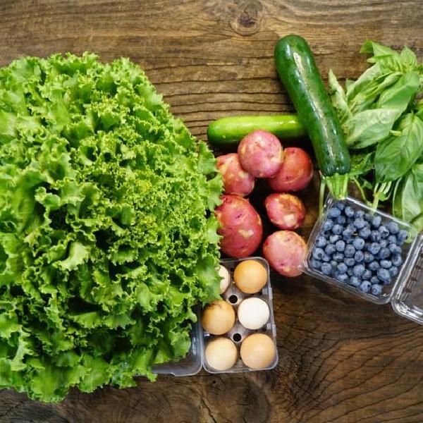 TRACTOR CSA