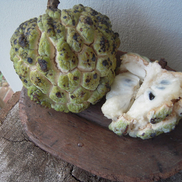 Sugar Apple (Sweetsop) *Pre-Order*