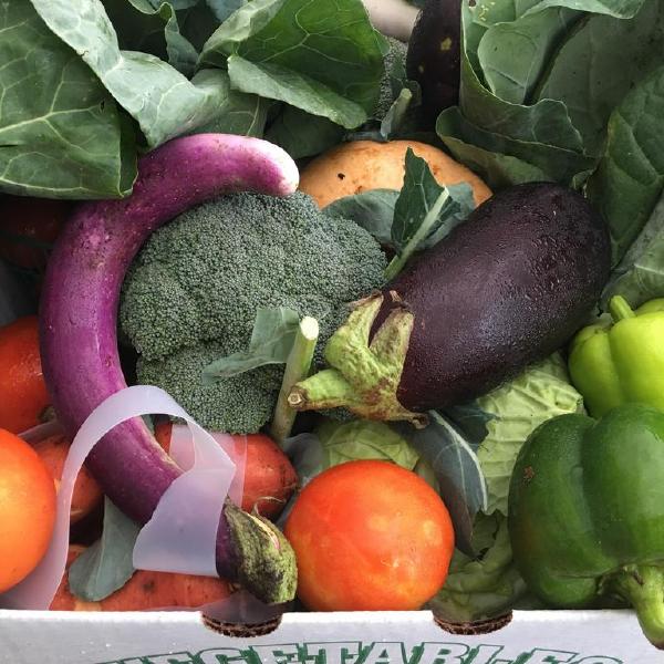 2025 Winter Veggie - Half Share