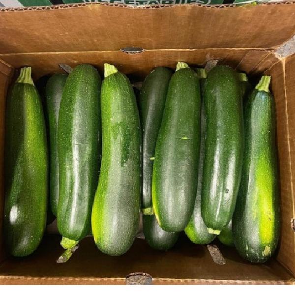 20lb case of Organic Zucchini