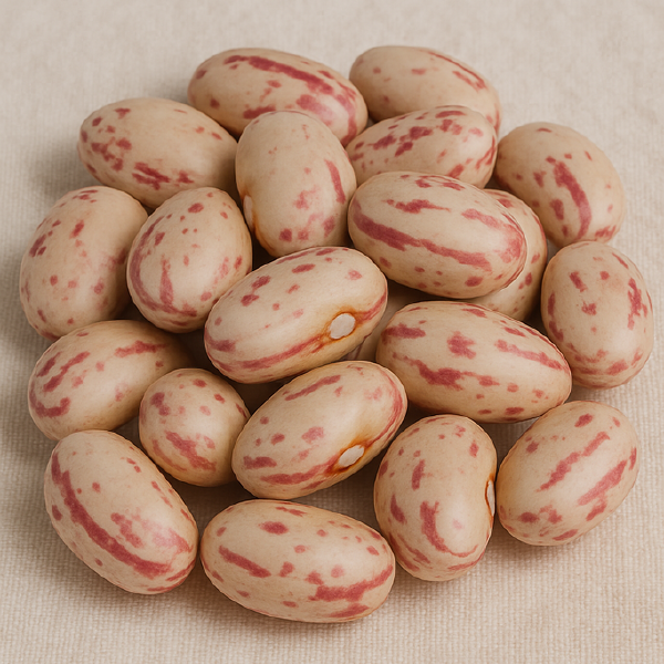 Shelled Cranberry Beans