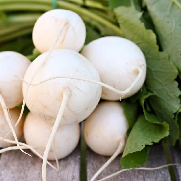 Hakurei Turnip