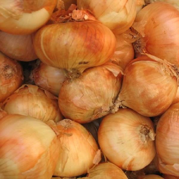Vidalia Onion