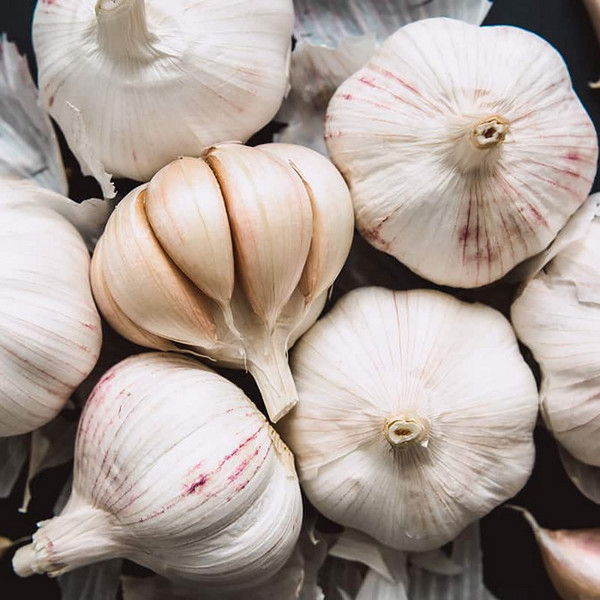 Garlic - Winter Stock Up