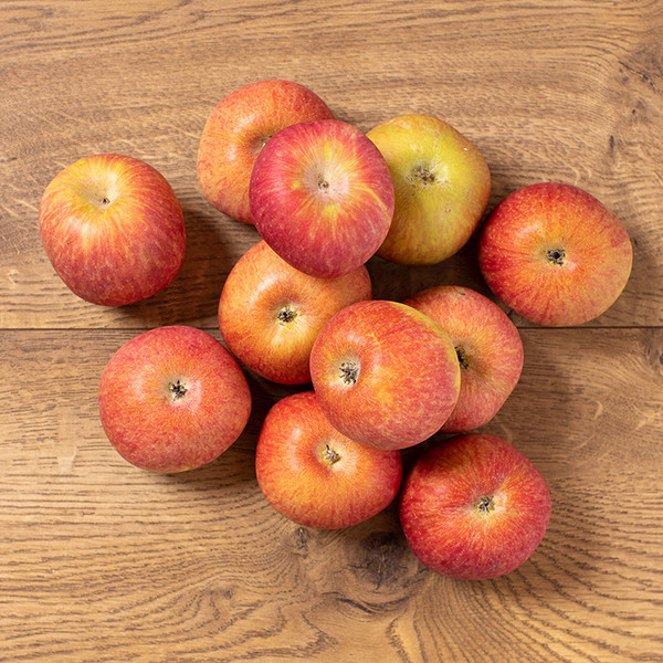 Fuji Apples