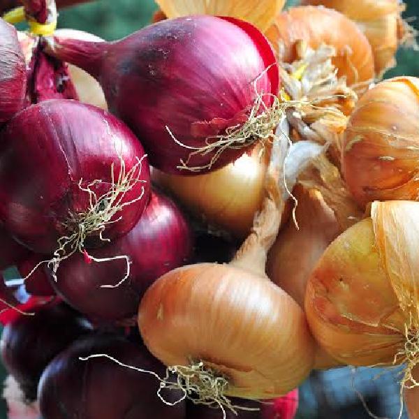 Onion
