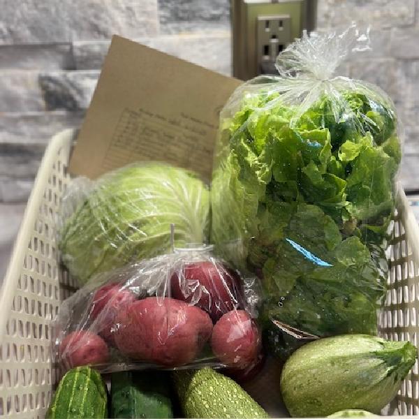 Weekly Veggie Bag