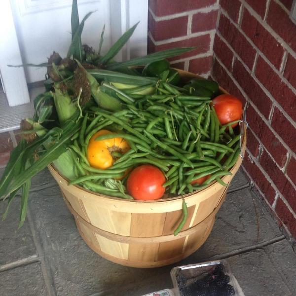Vegetable share 2026 - 27 weeks