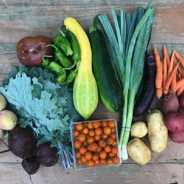 Tantre Farm Produce Box
