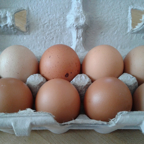 Local Eggs