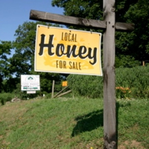 Honey