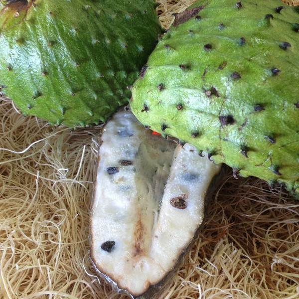 Soursop (Guanabana)