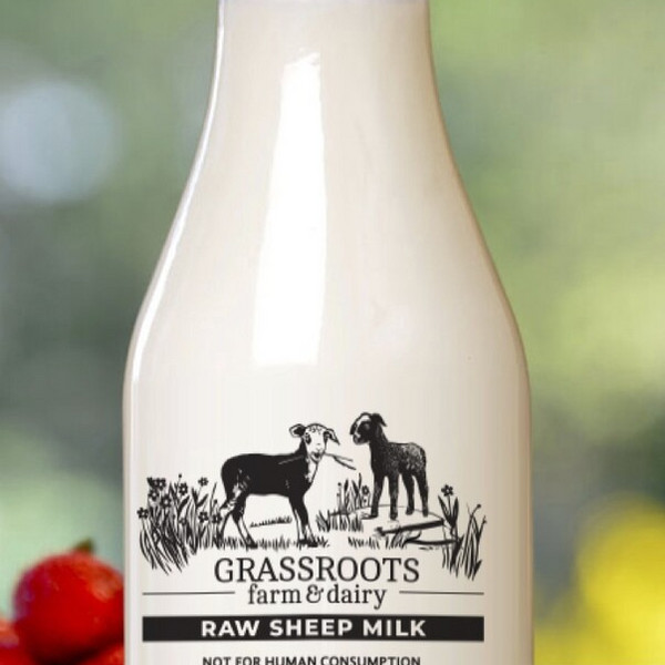 Raw Sheep Milk Add-On