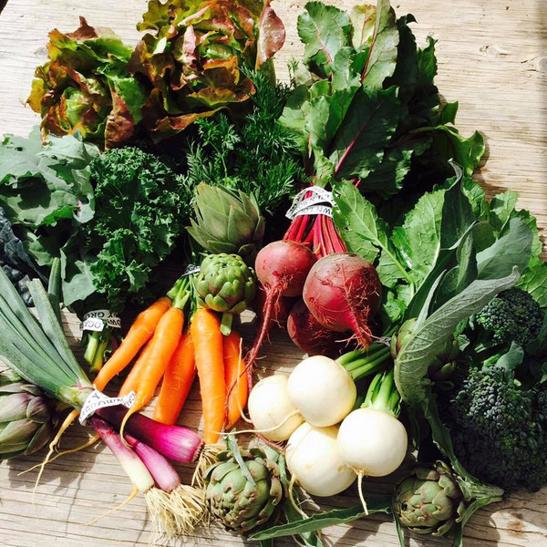 CSA Produce Share