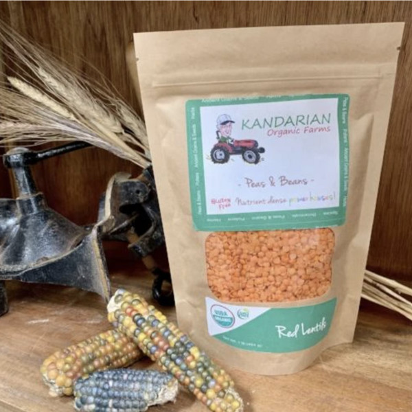 Organic Red Lentils 1 lb bag