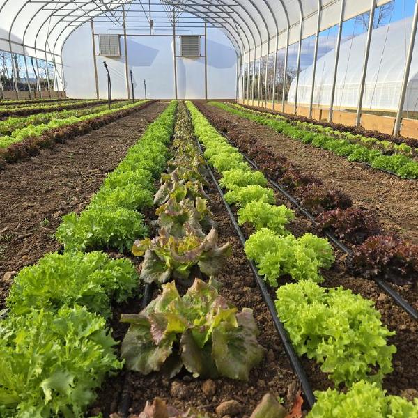 2026 Farm Membership