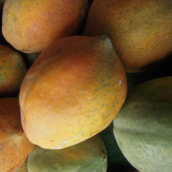 Papaya