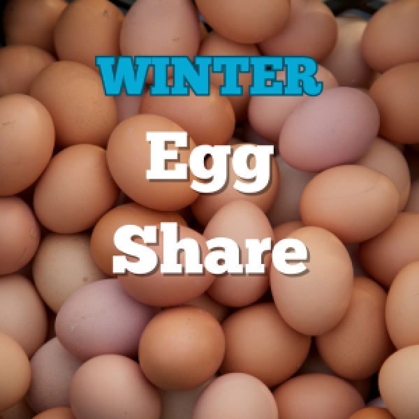 2025-2026 Winter Egg Share