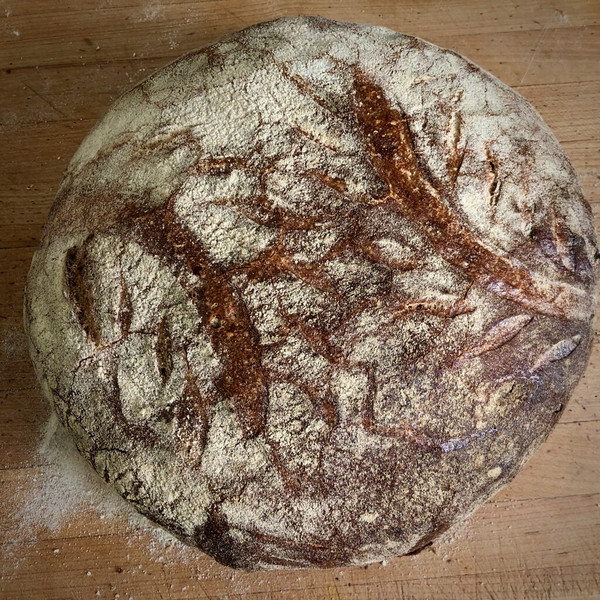 Polish Rye