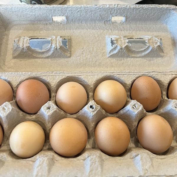 Eggs