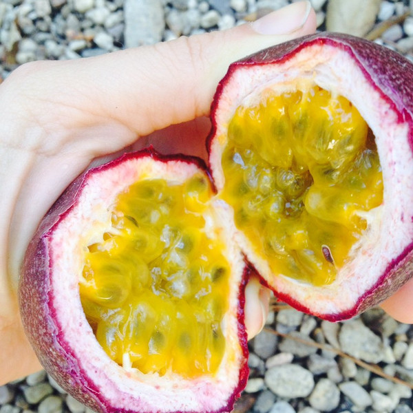 Passion Fruit
