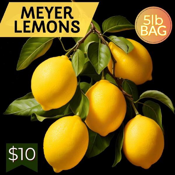5lb Bag of Meyer Lemons