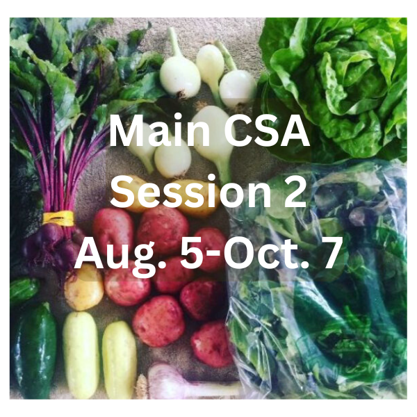 Main Season, session 2 2026