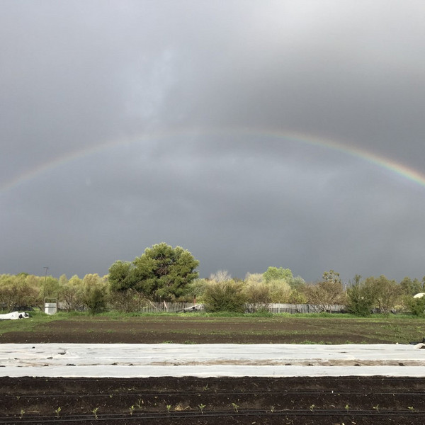 Neighbor Discount - CSA Produce Share