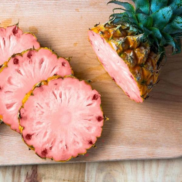 Pink Pineapple