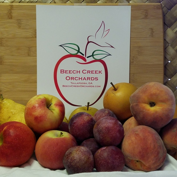 2025 Fruit Packs