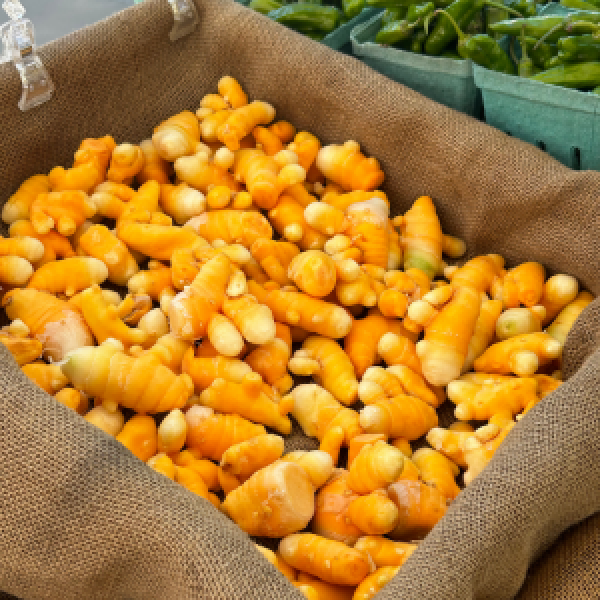 Turmeric, wholesale (Certified Organic)